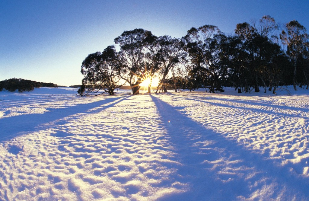 Neve na Austrália? – #Vamos Para Austrália